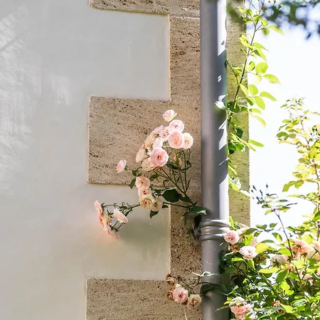 Hotel La Des Vignes Saint-Émilion